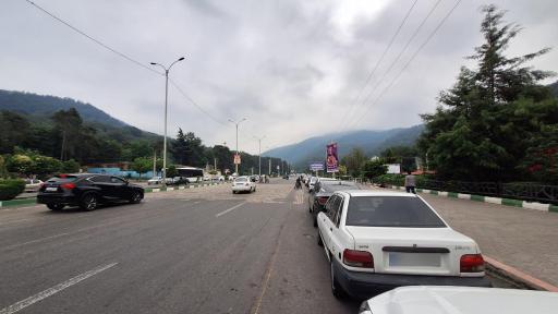 عکس جنگل نهارخوران
