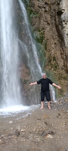 عکس جنگل نهارخوران