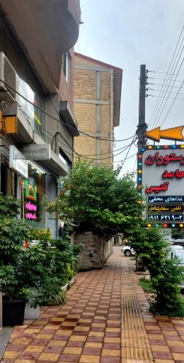 عکس رستوران حامد تتیس
