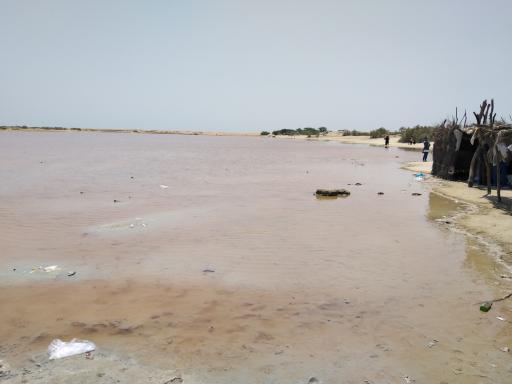 عکس دریاچه صورتی (تالاب لیپار)