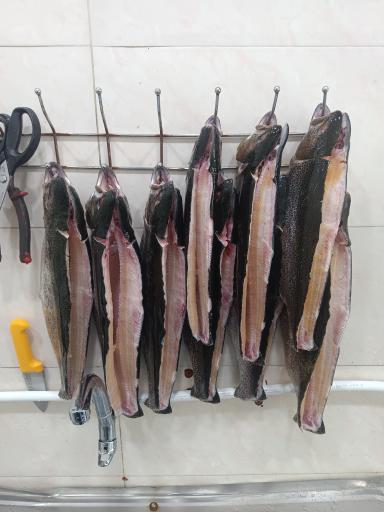 عکس ماهی قزل آلا و کباب ماهی فرهاد