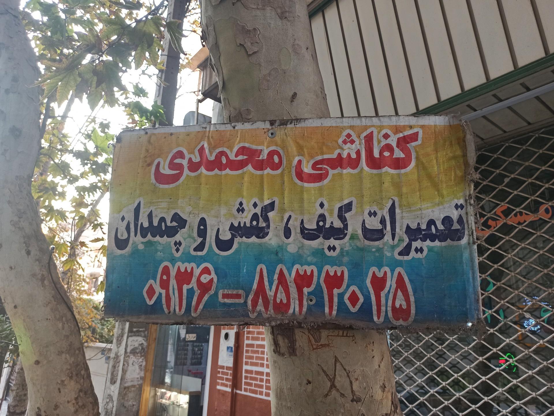 عکس کفاشی محمدی