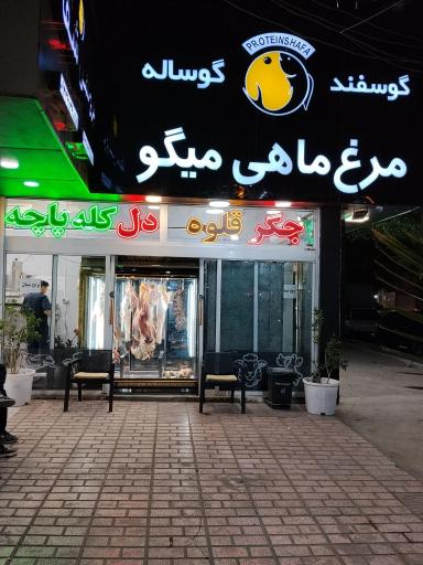 عکس پروتئین شفا
