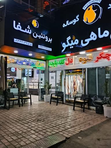 عکس پروتئین شفا