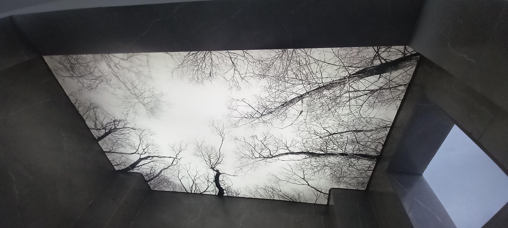 عکس دکور شمالی ۷۲