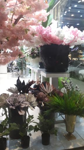 عکس گل مشهد