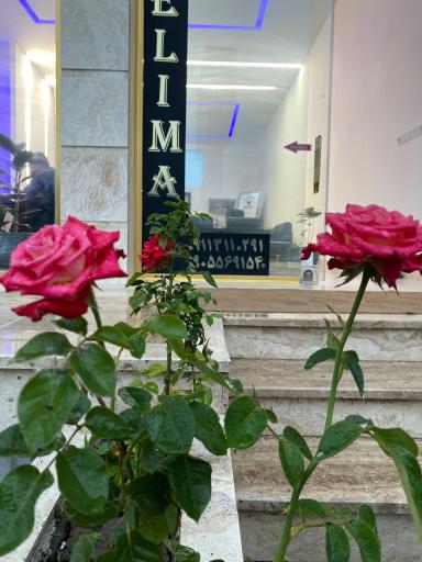 عکس املاک الیما ملک