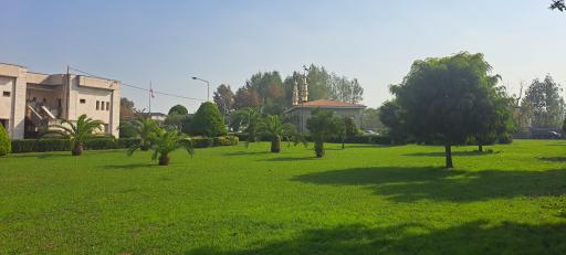 عکس فضای سبز