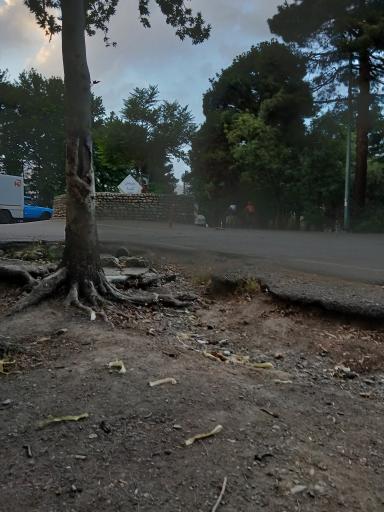 عکس میدان گلها