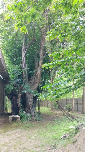 عکس بقعه سید کلثوم و سید فاطمه کلیدبر