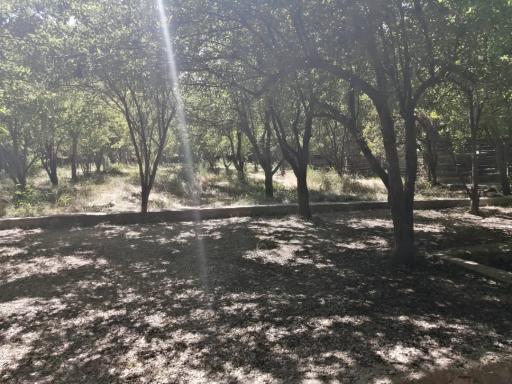 عکس باغ تفریحی طارونه