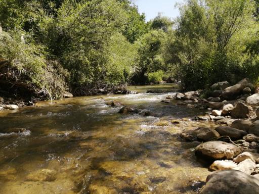 عکس باغ تفریحی طارونه