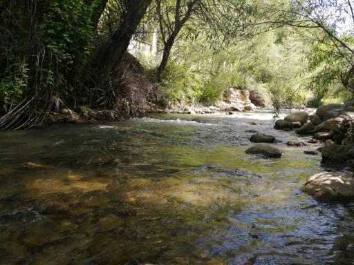 عکس باغ تفریحی طارونه