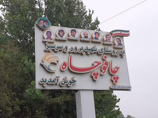 عکس چافوچاه