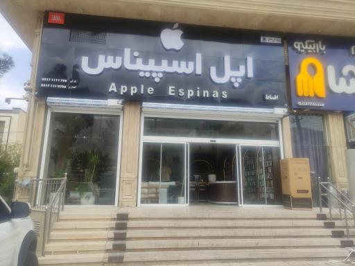 عکس اپل اسپیناس