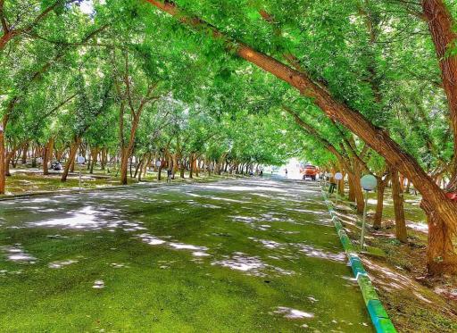 عکس پارک بانوان