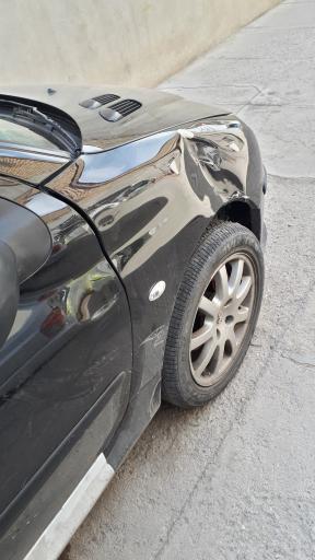 عکس صافکاری بدون رنگ علیرضا