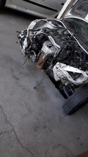 عکس صافکاری بدون رنگ علیرضا