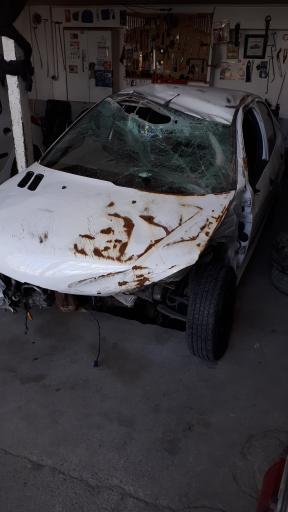 عکس صافکاری بدون رنگ علیرضا