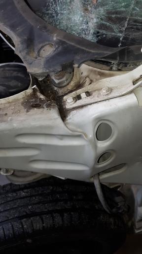 عکس صافکاری بدون رنگ علیرضا