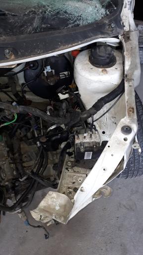 عکس صافکاری بدون رنگ علیرضا