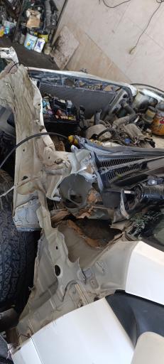 عکس صافکاری بدون رنگ علیرضا