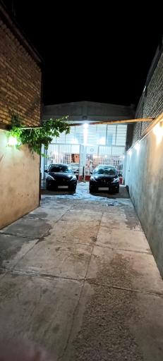 عکس صافکاری بدون رنگ علیرضا