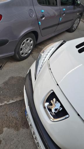 عکس صافکاری بدون رنگ علیرضا