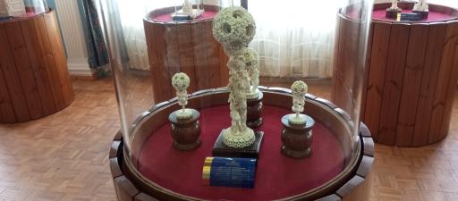 عکس موزه تخصصی عاج ایران