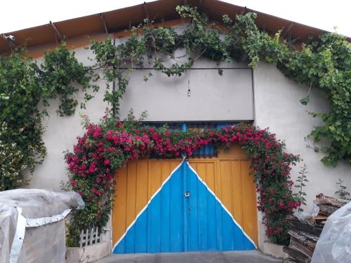 عکس صنایع چوب ساج