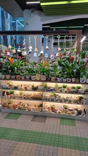 عکس شرکت صنایع نساج پلیمر بابلسر