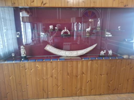 عکس موزه تخصصی عاج ایران