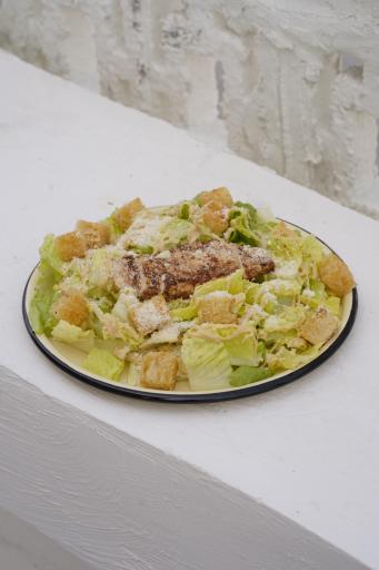 عکس ساندویچ و برگر تخصصی البادیه