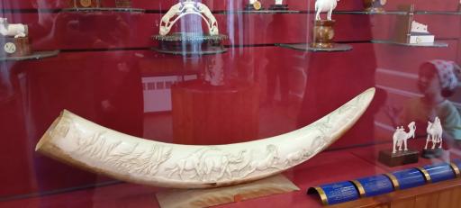 عکس موزه تخصصی عاج ایران