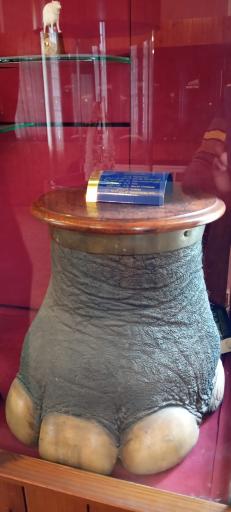 عکس موزه تخصصی عاج ایران