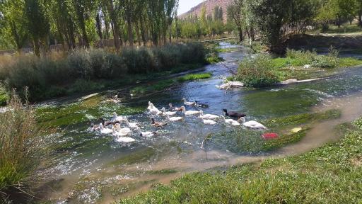 عکس چشمه شش پیر