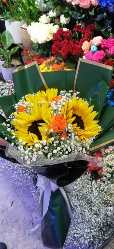 عکس گل کده خورشید