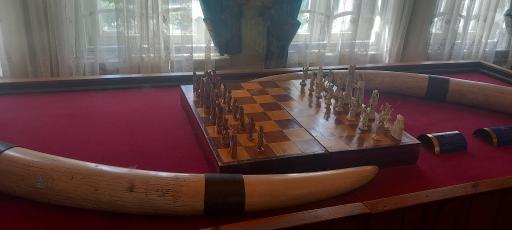 عکس موزه تخصصی عاج ایران