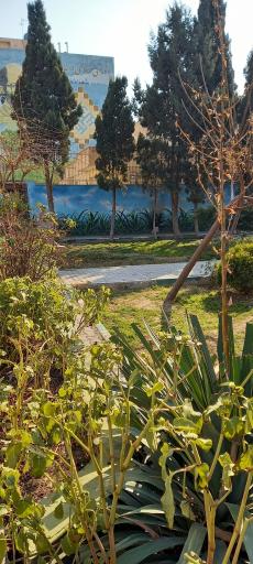 عکس پارک شهرداری