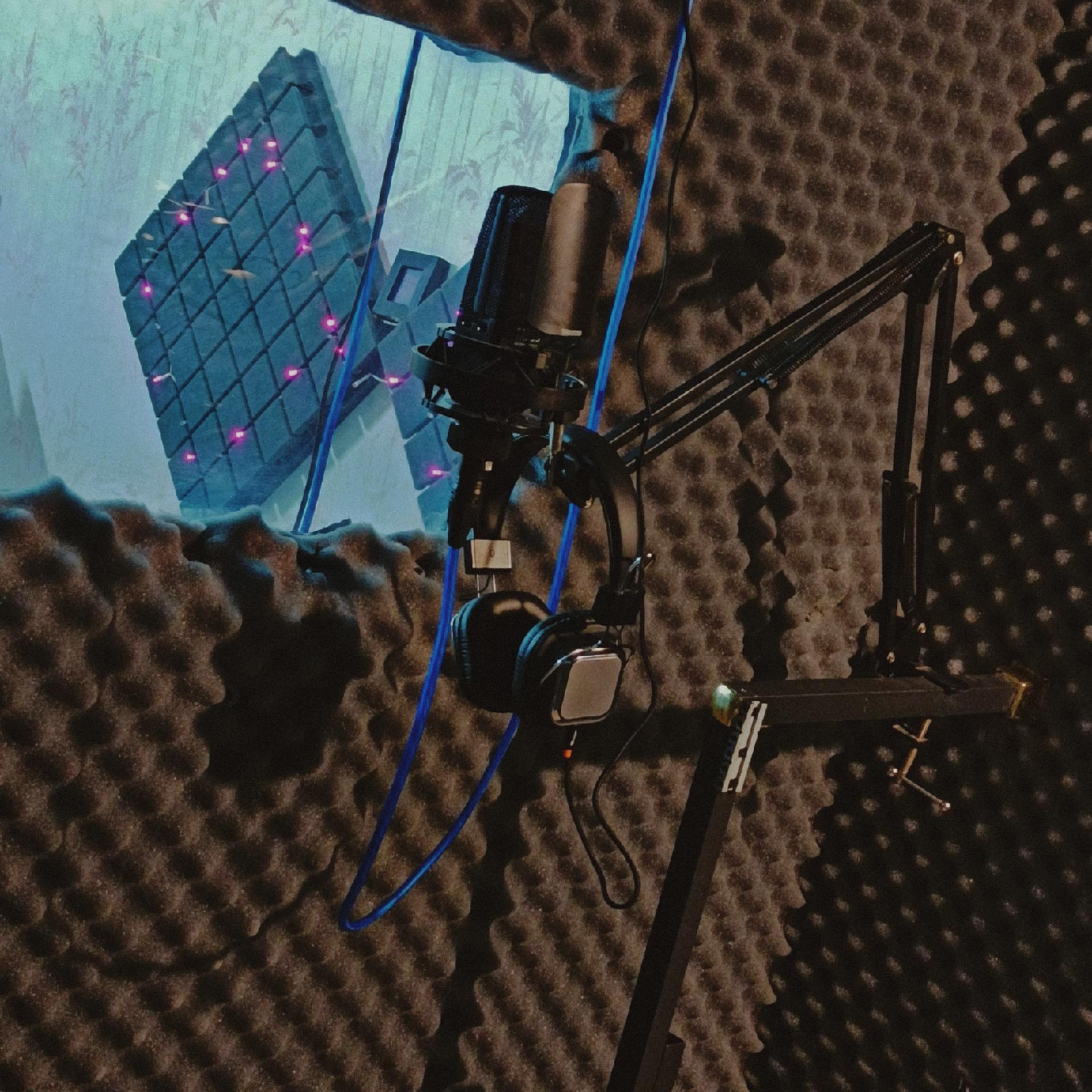 عکس استودیو ضبط صدا lion