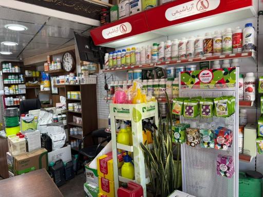 عکس داروخانه گیاهپزشکی گیاه دارو (ترابی)