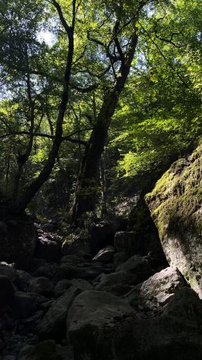 عکس منطقه گردشگری سفید آب