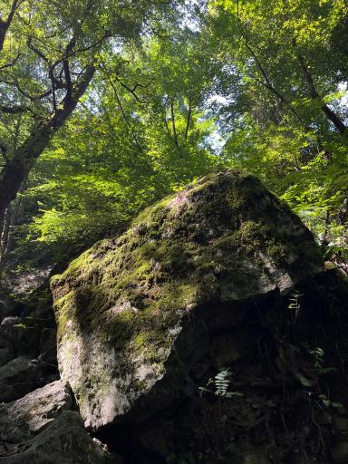 عکس منطقه گردشگری سفید آب