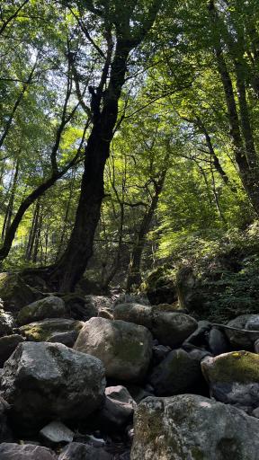 عکس منطقه گردشگری سفید آب