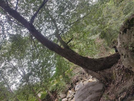 عکس منطقه گردشگری سفید آب