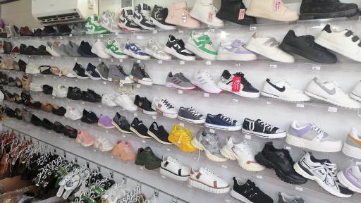 عکس کفش دلوین