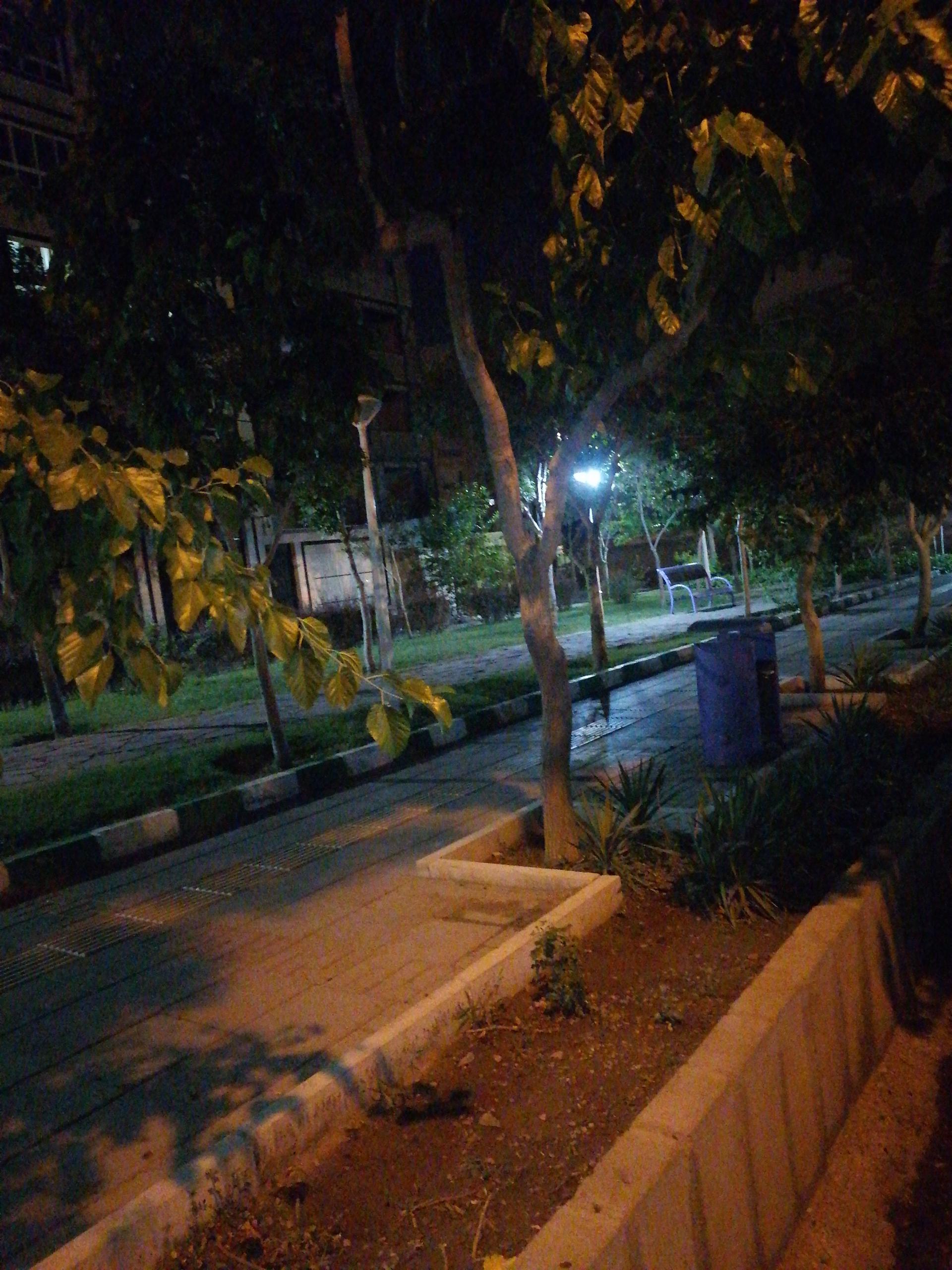 عکس پارک گل محمدی