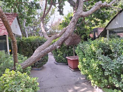 عکس کافه رستوران دنج