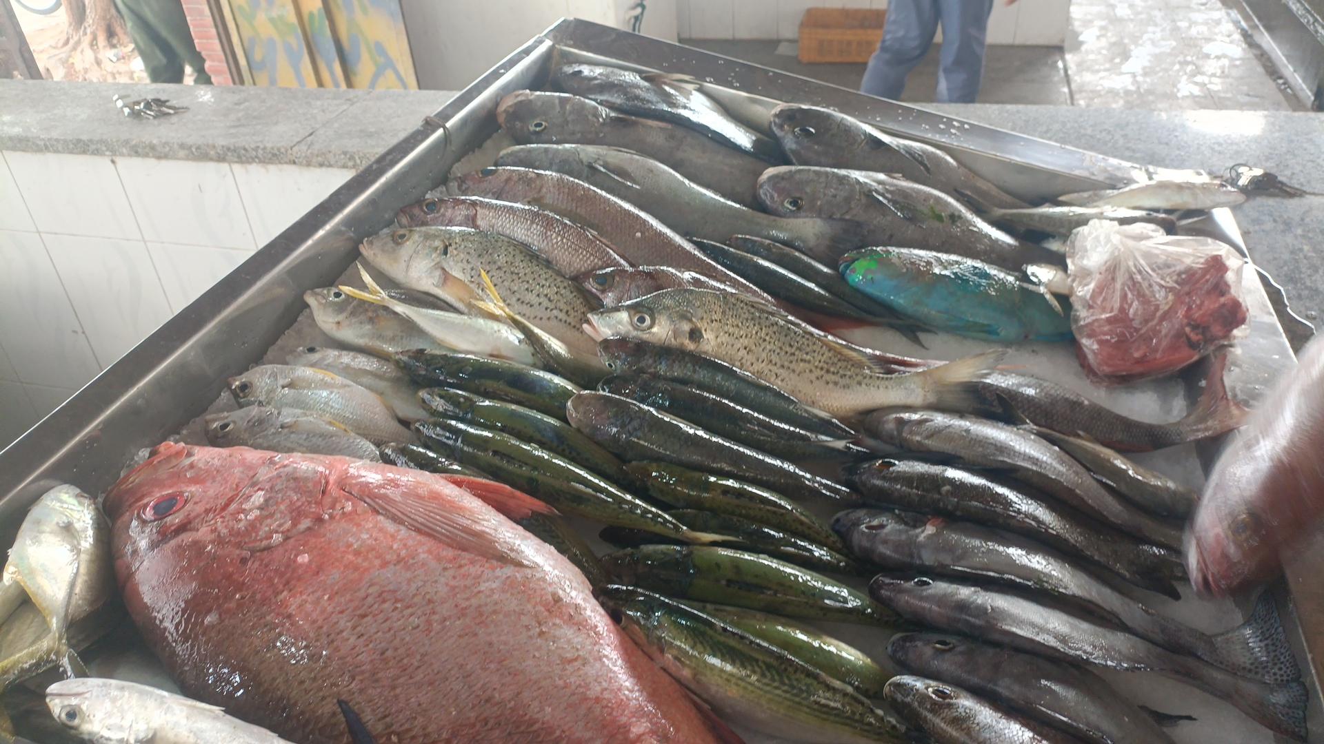 عکس ماهی فروشی