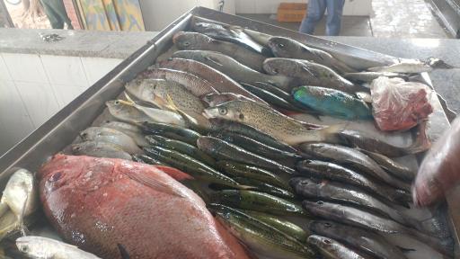 عکس ماهی فروشی
